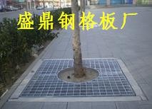 供应树池盖板